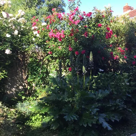 Maisonnette Bed & Breakfast Nantes