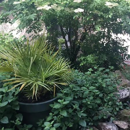 Maisonnette فندق مبيت وإفطار