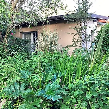 Maisonnette Nantes