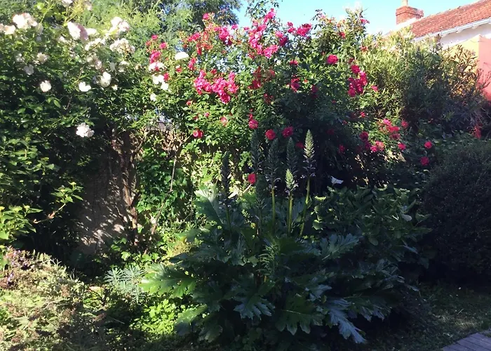 Maisonnette Bed & Breakfast Nantes