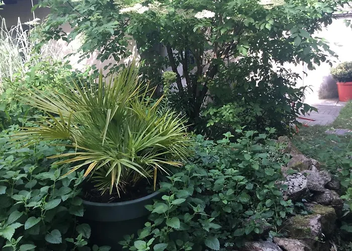 Maisonnette Couette-café