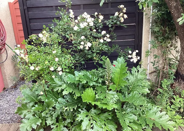 Nocleg ze śniadaniem Maisonnette